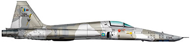 Profil couleur du Northrop RF-5 Tigereye