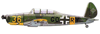 Profil couleur du Arado Ar 96