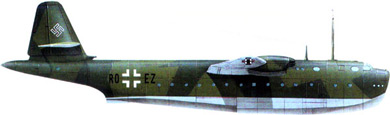 Profil couleur du Blohm und Voss Bv 238