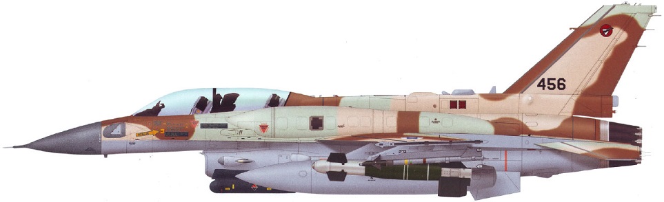 Profil couleur du Lockheed-Martin F-16E/F Desert Falcon