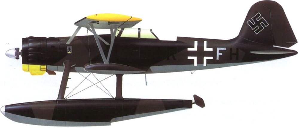 Profil couleur du Heinkel He 114