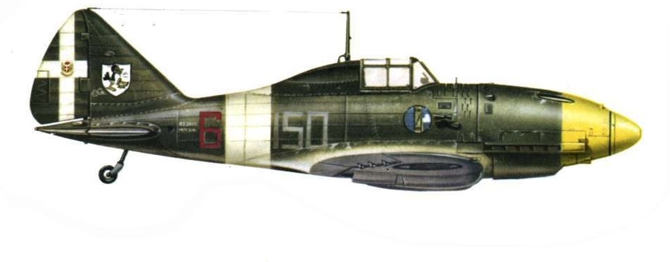 Profil couleur du Reggiane Re.2001 Falco II