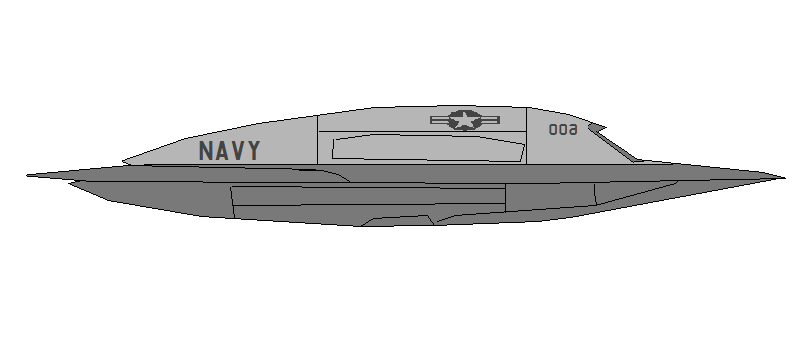 Profil couleur du Northrop Grumman X-47B