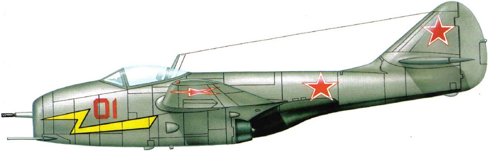 Profil couleur du Mikoyan-Gurevich MiG-9 ‘Fargo’
