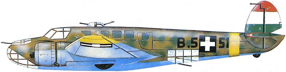 Profil couleur du Caproni Bergamaschi Ca.135