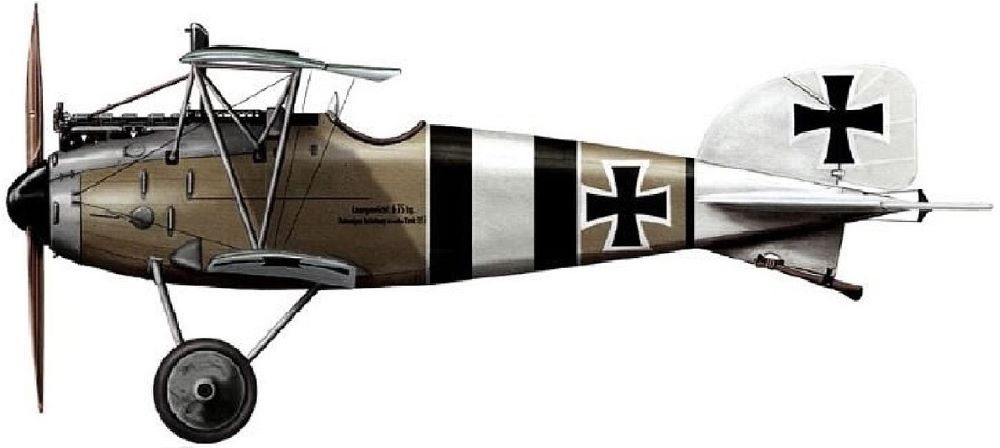 Profil couleur du Albatros D.III