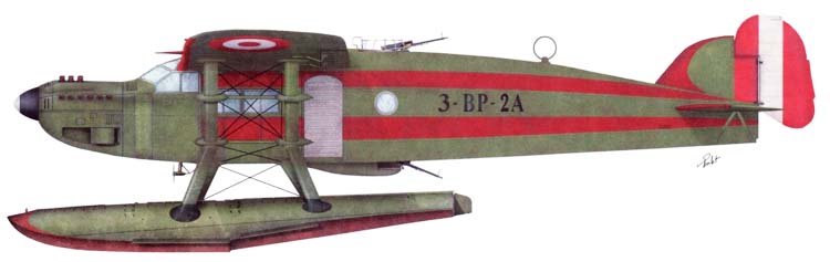 Profil couleur du Caproni Ca.111