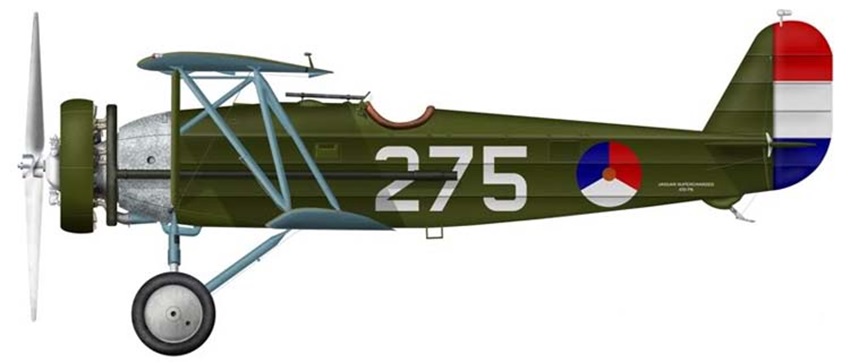 Profil couleur du Fokker D.XVI