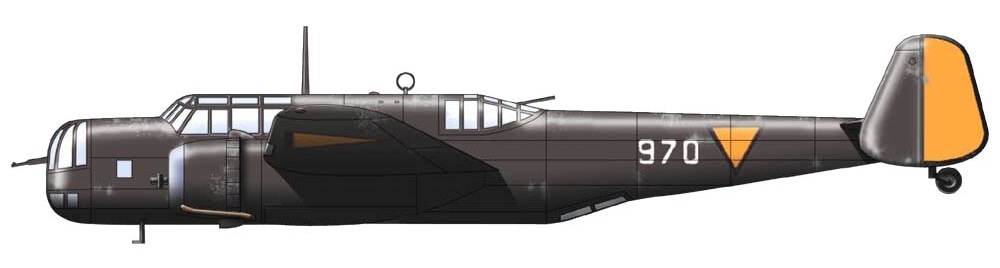 Profil couleur du Fokker T.IX