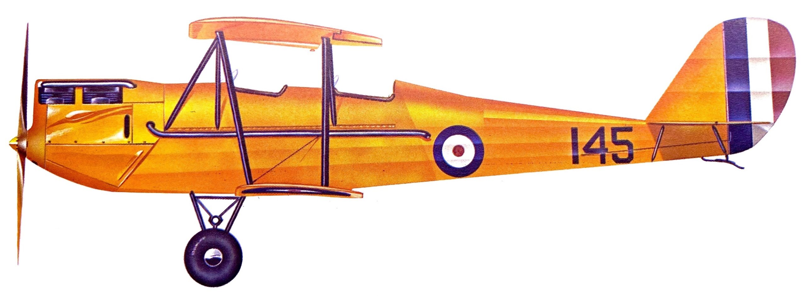 Profil couleur du Curtiss-Reid Rambler