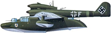 Profil couleur du Blohm und Voss Bv 138