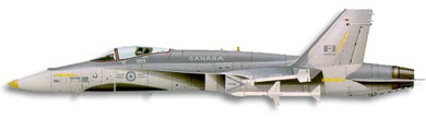 Profil couleur du McDonnell-Douglas F/A-18 Hornet