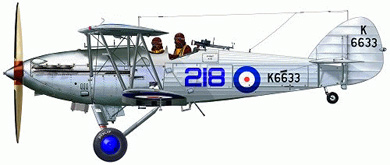 Profil couleur du Hawker Hind