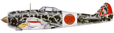 Profil couleur du Nakajima Ki-44 Shoki ‘Tojo’