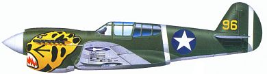 Profil couleur du Curtiss P-40 Warhawk