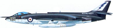 Profil couleur du Supermarine  Scimitar