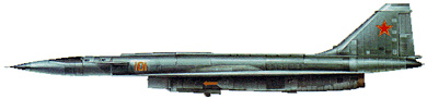 Profil couleur du Sukhoï T-4 Sotka