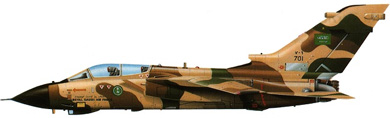 Profil couleur du Panavia  Tornado IDS