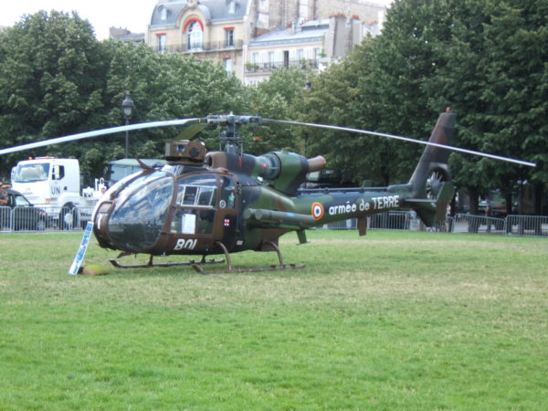 Gazelle Viviane présentée en 2008.