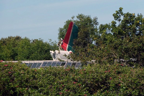 Sur ce cliché l'empennage de l'avion apparait clairement ainsi que la serre contre laquelle l'avion s'est écrasé.